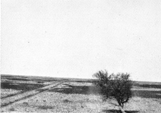 Main road near Mulka, South Australia