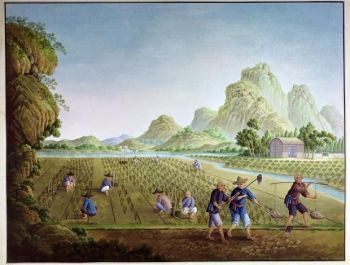 Peasants work the fields outside a Qing-era village. This sanitised scene gives little clue as to the drudgery of most peasants' lives.