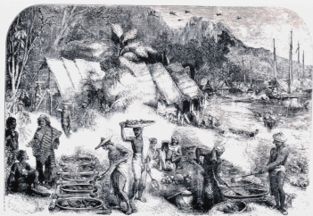 The Makassan trepang trade at Port Essington. This sketch dates to the middle of the 19th century, but the smokehouses used to dry trepang were a feature of the trade from its earliest days.
