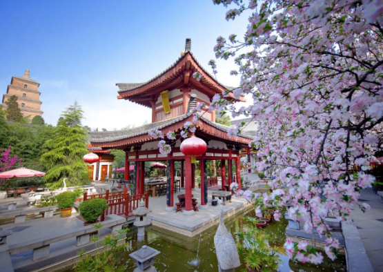 Tang dynasty art garden hotel Xi'an