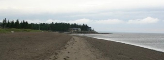 Carron Point
